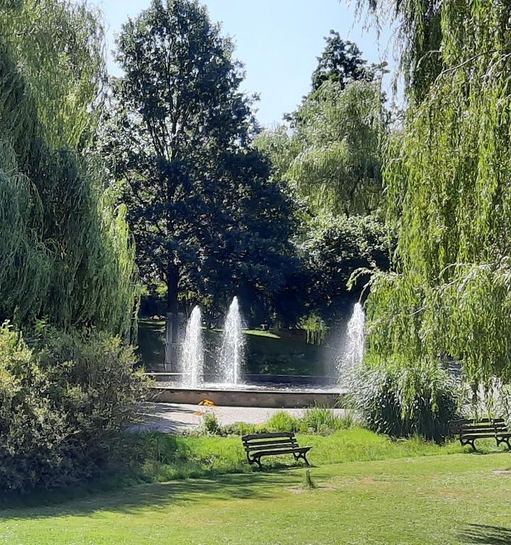 Cafe Im Kurpark Jonsdorf